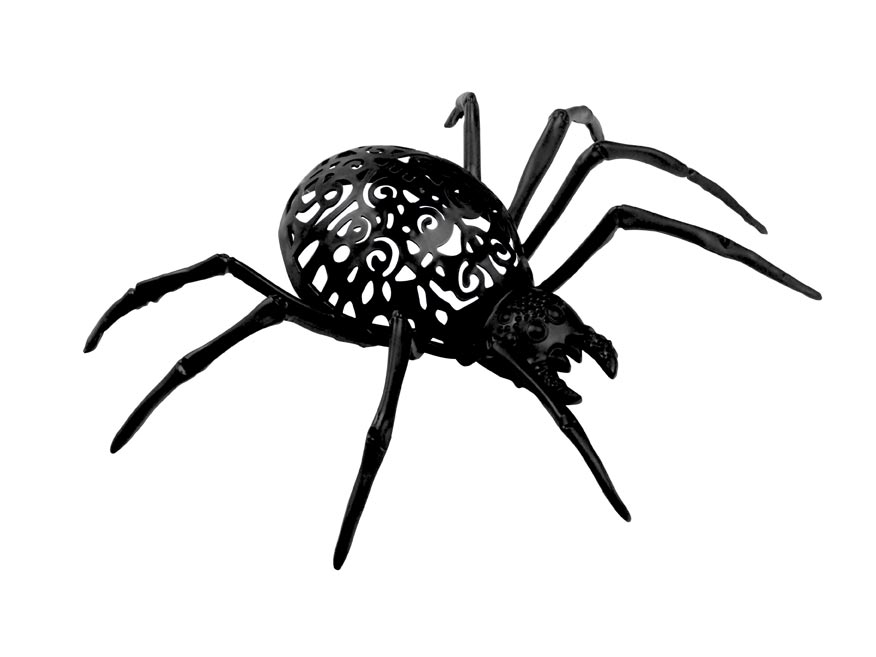 Pavouk barevný 14cm mix barev - Obrázek 4