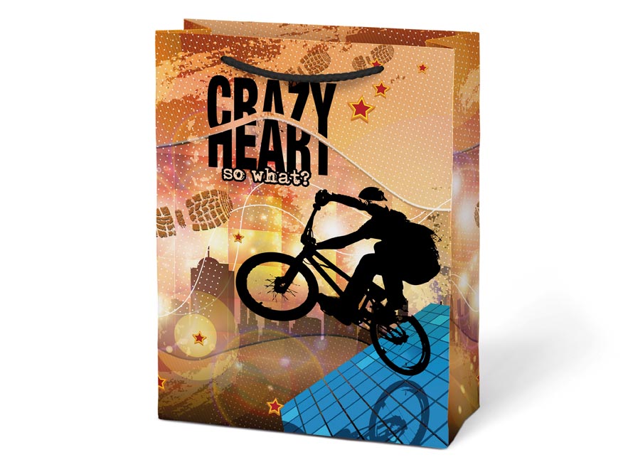 Taška MFP dárková T 4 mix č.63 190x250x90 - Obrázek 2