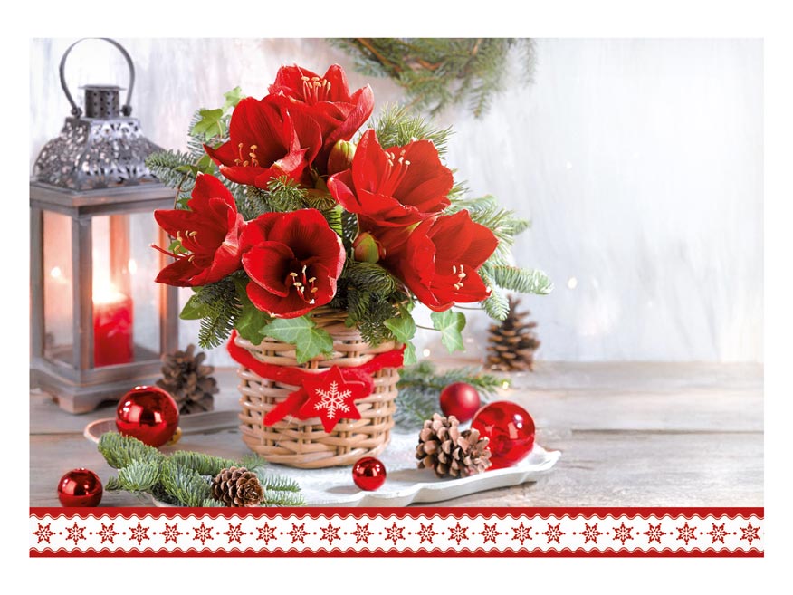 Dopisní obálka MFP C6 170g/m2 vánoční (mix) - Obrázek 5