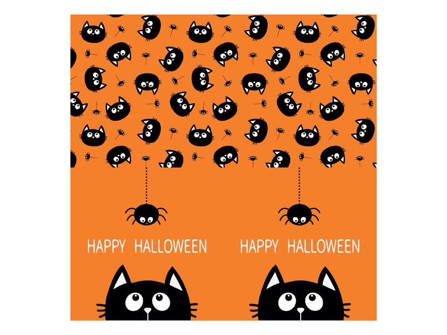 Ubrousek P 33x33 celorok MES200881