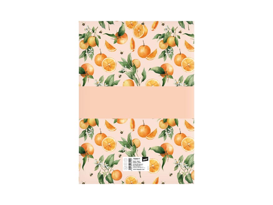 Školní sešit A4 444 - Obrázek 2