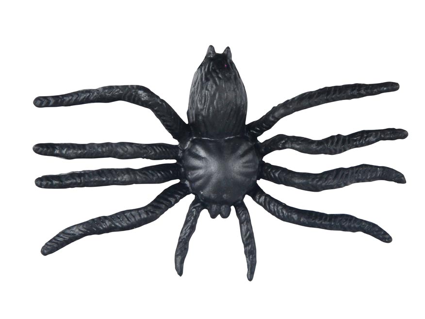 Pavouk plast 6cm 6pcs černý