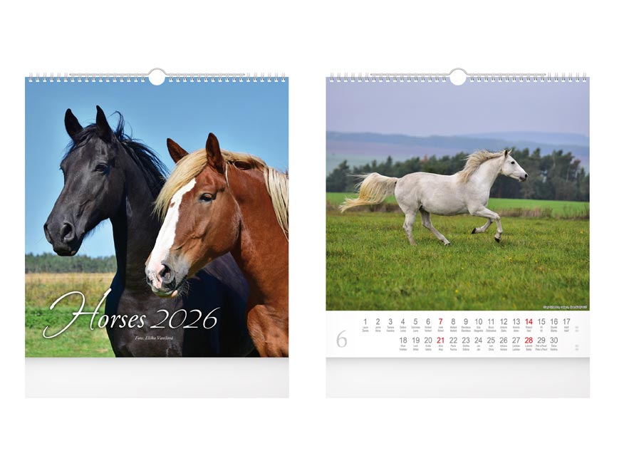 Kalendář 2026 nástěnný malý Horses