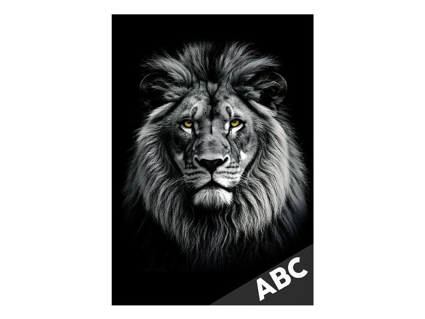 Desky na ABC Lev